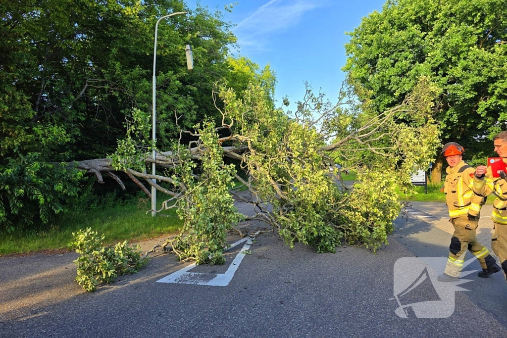 Omgevallen boom blokkeert weg en beschadigt lantaarnpaal