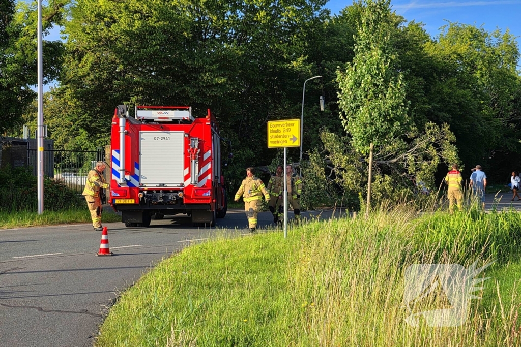 Omgevallen boom blokkeert weg en beschadigt lantaarnpaal