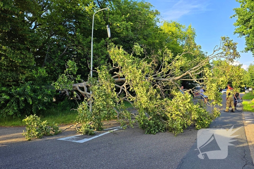 Omgevallen boom blokkeert weg en beschadigt lantaarnpaal