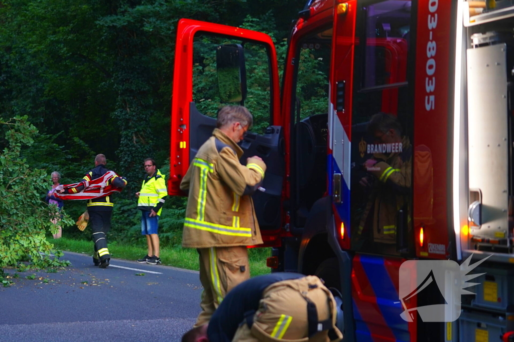 N373 afgesloten vanwege tak over de weg