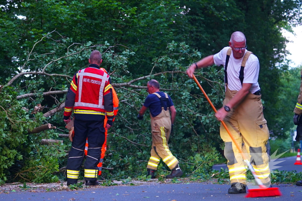 N373 afgesloten vanwege tak over de weg