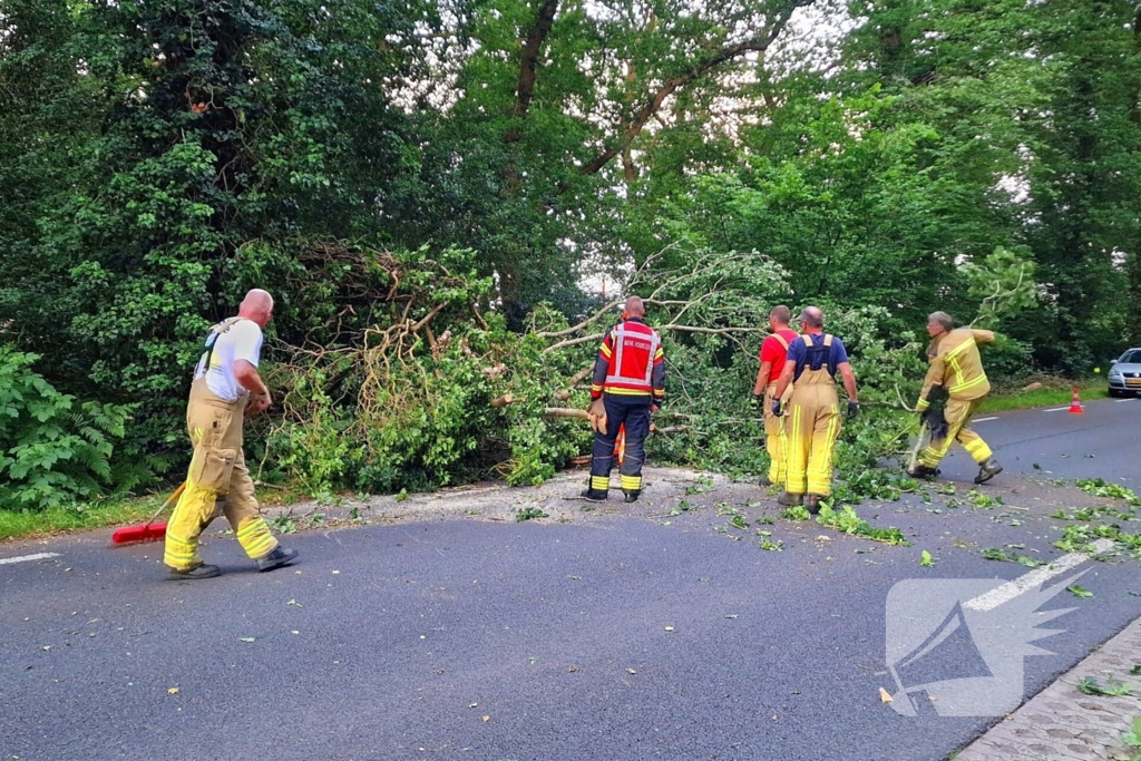 N373 afgesloten vanwege tak over de weg