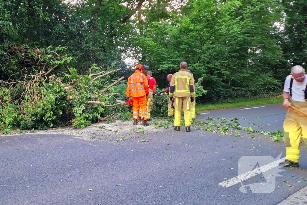 N373 afgesloten vanwege tak over de weg