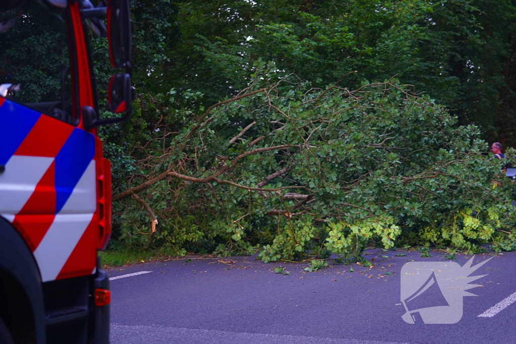 N373 afgesloten vanwege tak over de weg