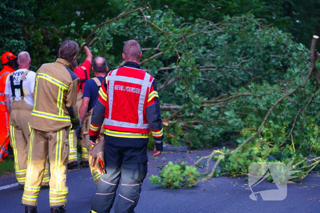 N373 afgesloten vanwege tak over de weg