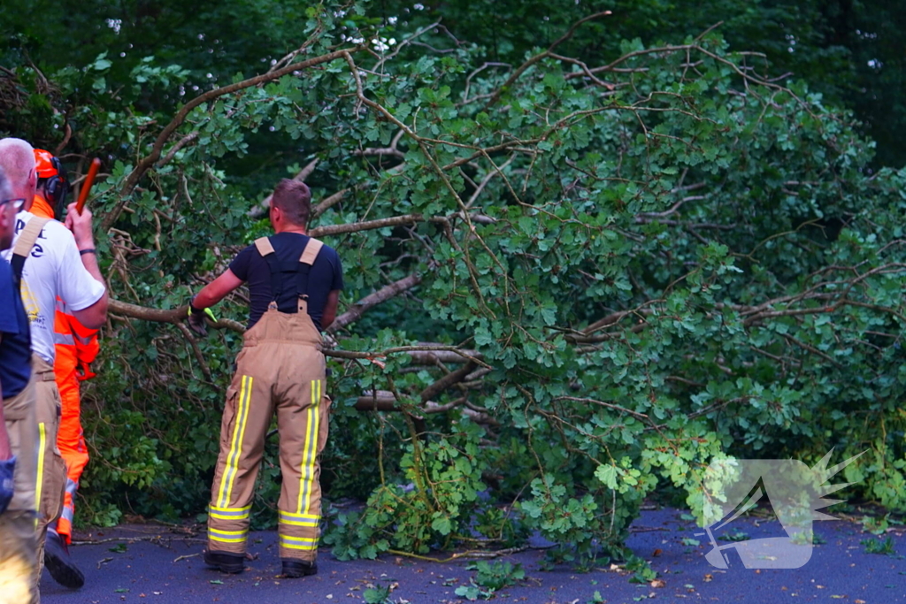 N373 afgesloten vanwege tak over de weg