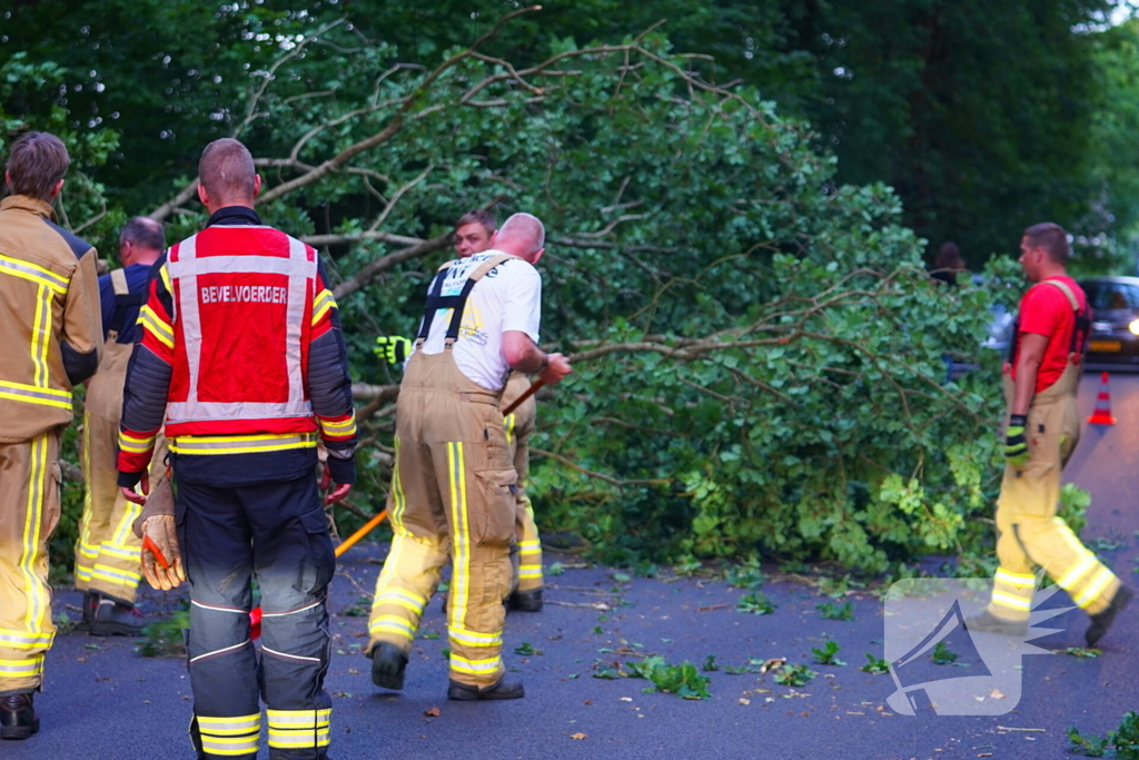 N373 afgesloten vanwege tak over de weg