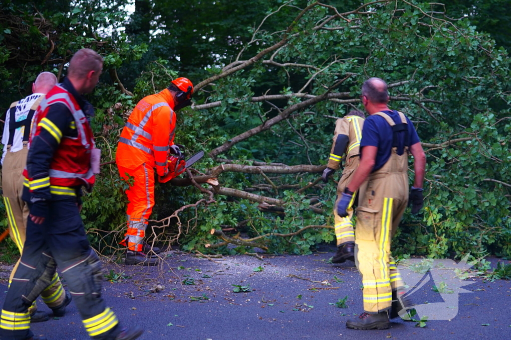 N373 afgesloten vanwege tak over de weg