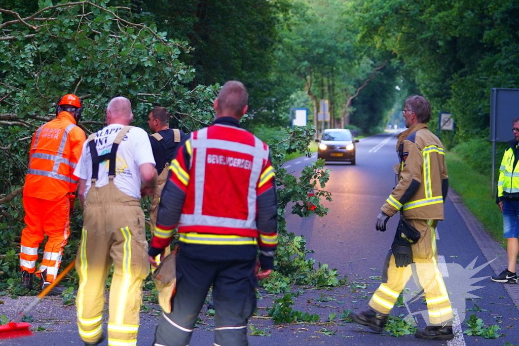 N373 afgesloten vanwege tak over de weg