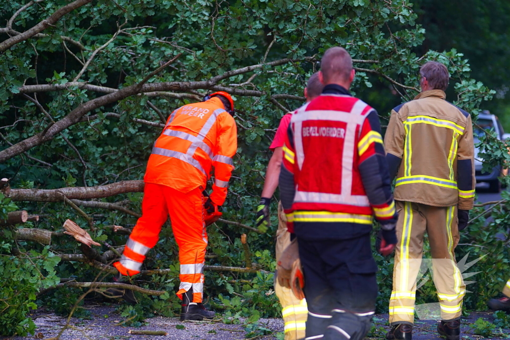 N373 afgesloten vanwege tak over de weg