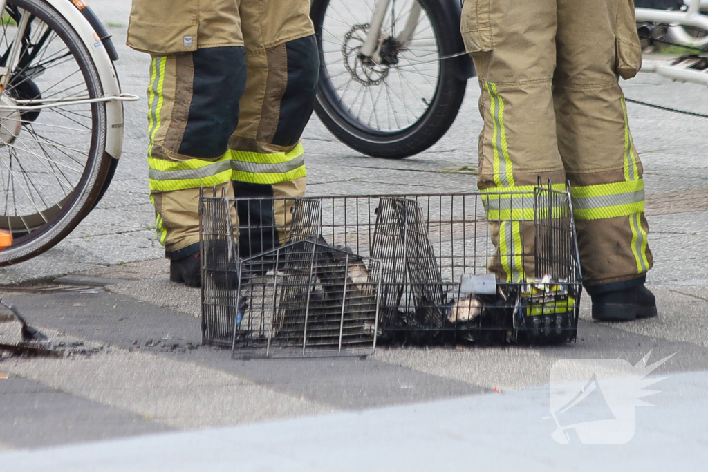 Winkelbrand vergt snelle hulpverlening