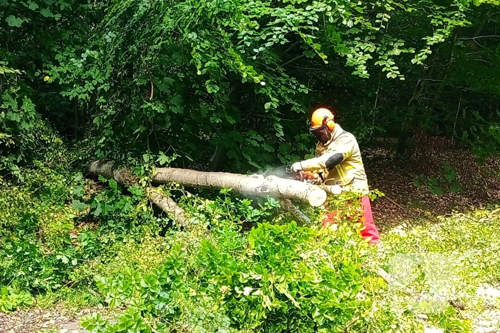 Boom blokkeert weg door stormschade