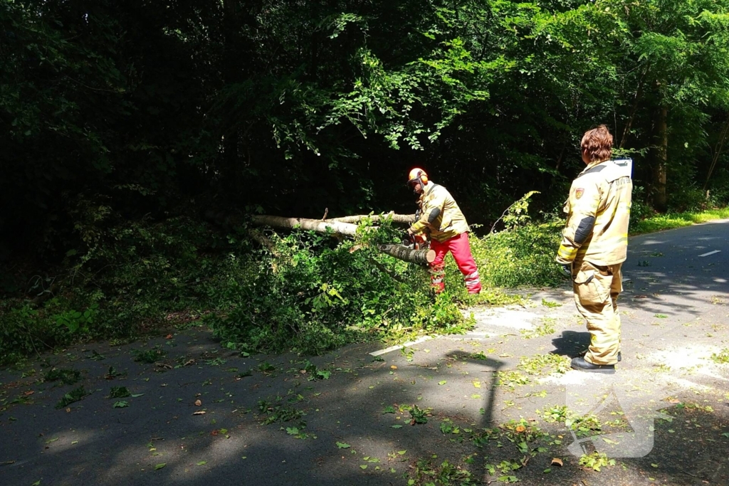 Boom blokkeert weg door stormschade