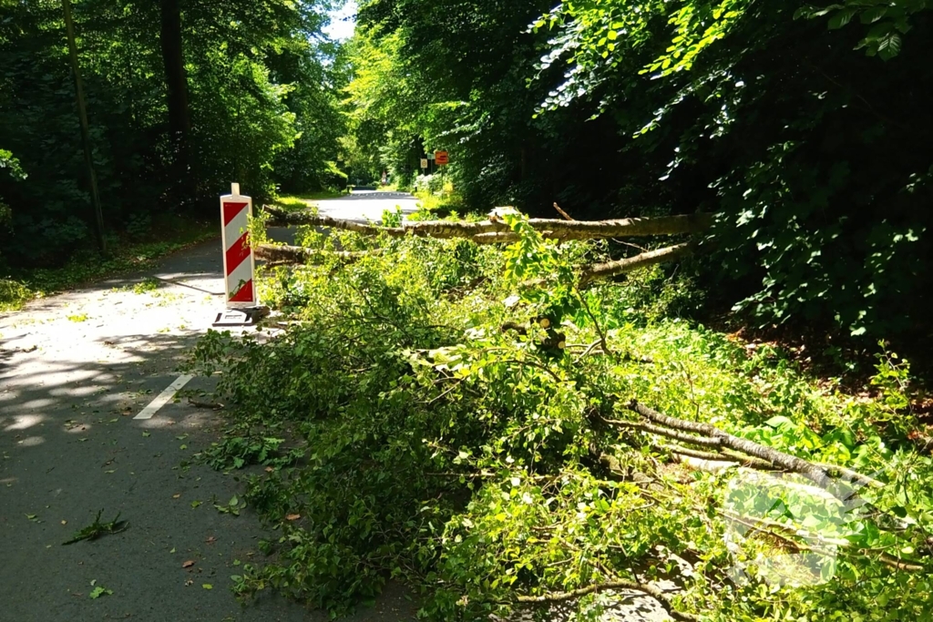 Boom blokkeert weg door stormschade