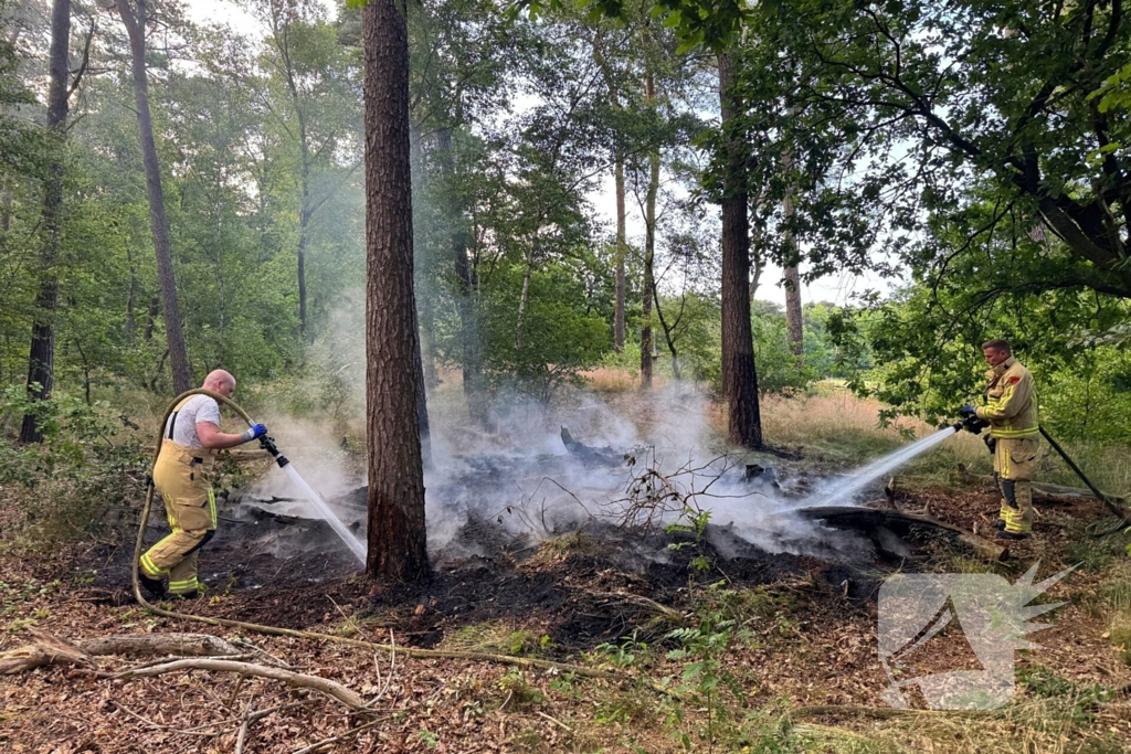 Bosbrand snel onder controle na brandweeractie