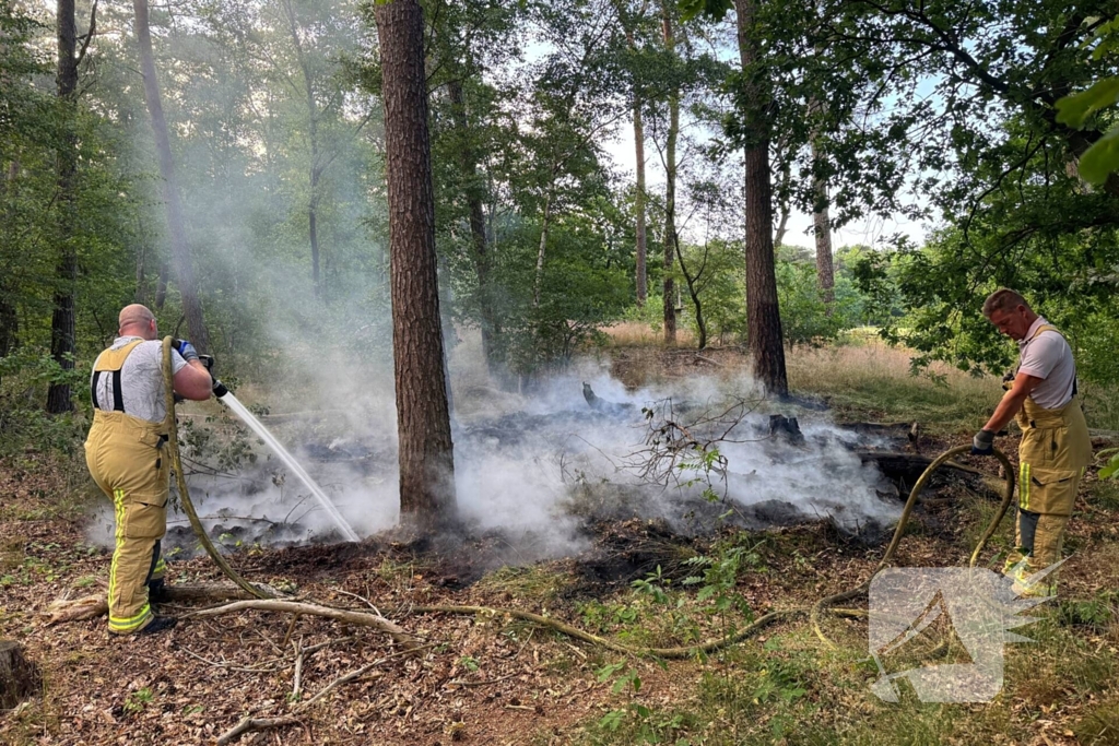 Bosbrand snel onder controle na brandweeractie