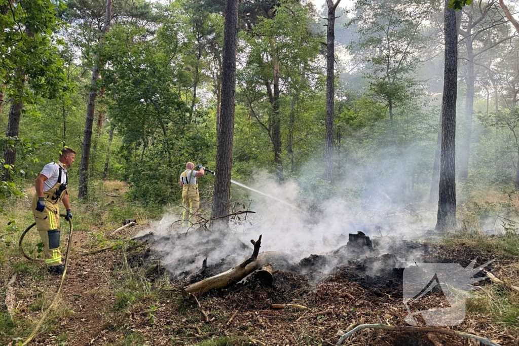Bosbrand snel onder controle na brandweeractie