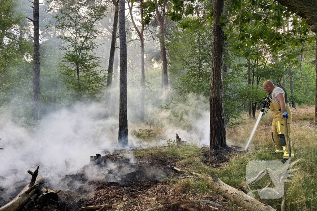 Bosbrand snel onder controle na brandweeractie