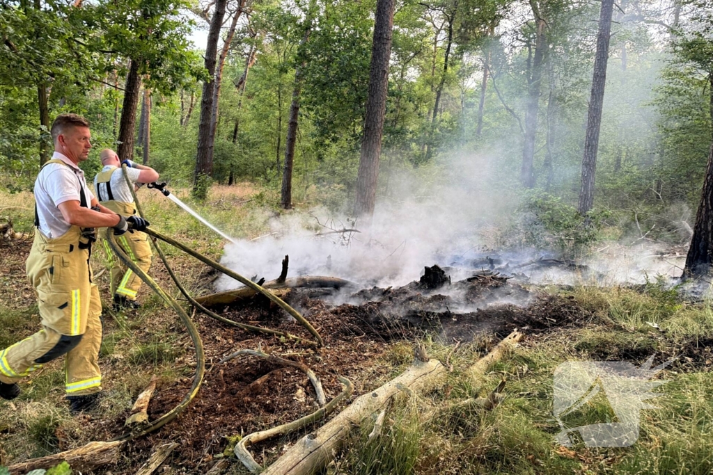 Bosbrand snel onder controle na brandweeractie