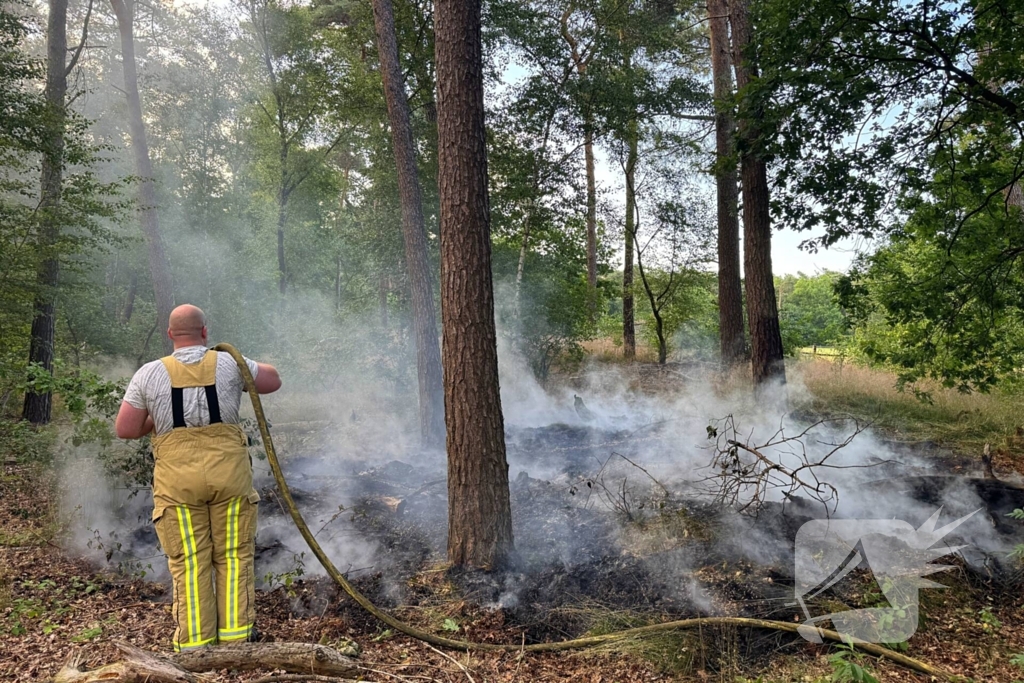 Bosbrand snel onder controle na brandweeractie