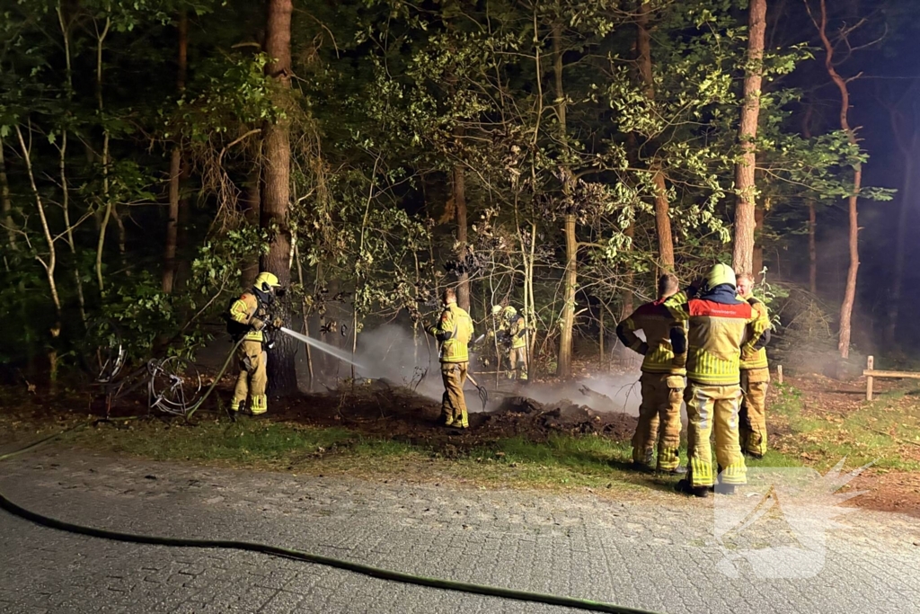 Bosbrand snel onder controle