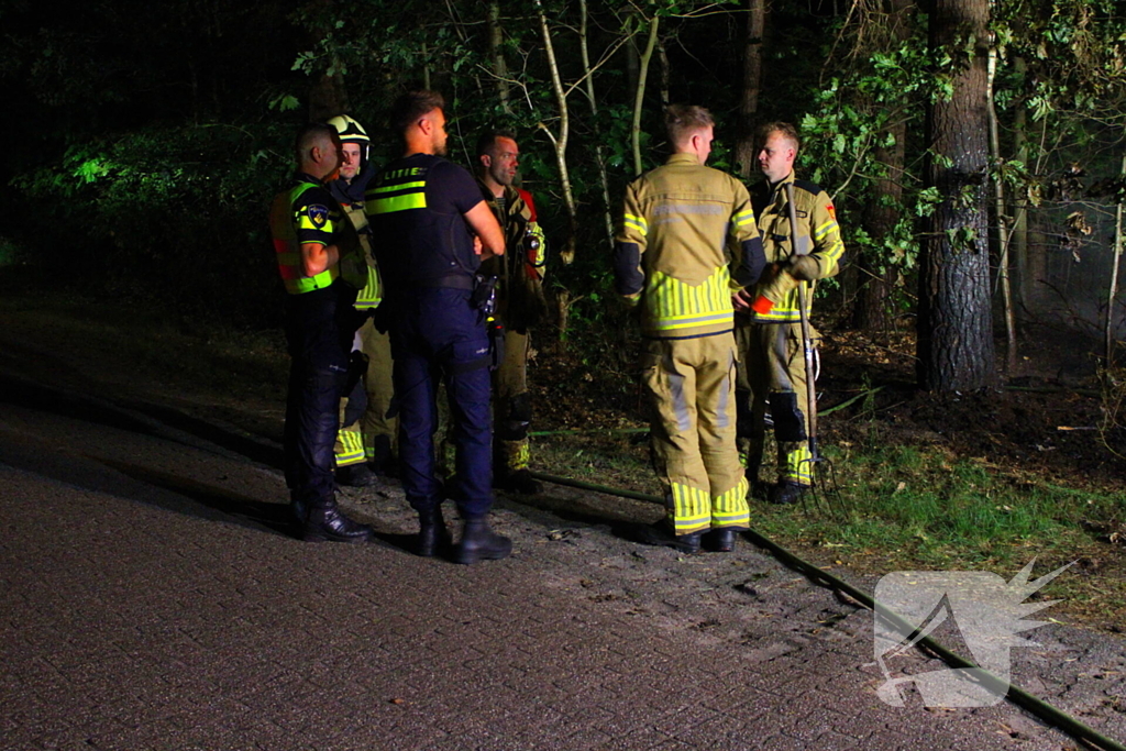 Bosbrand snel onder controle