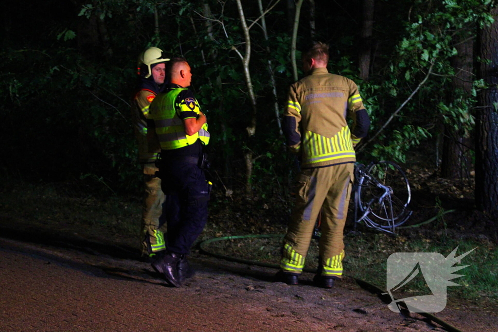 Bosbrand snel onder controle