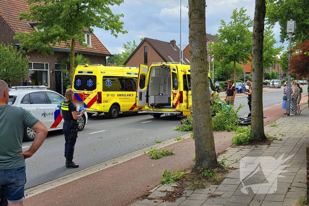 Fatbiker krijgt tak op hoofd en raakt zwaargewond