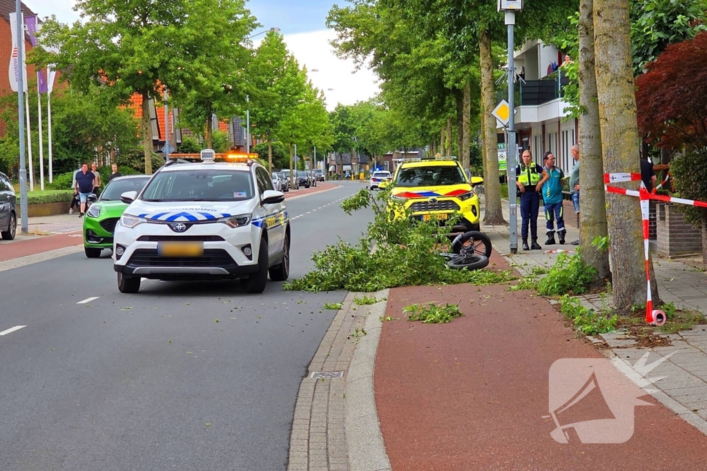 Fatbiker krijgt tak op hoofd en raakt zwaargewond