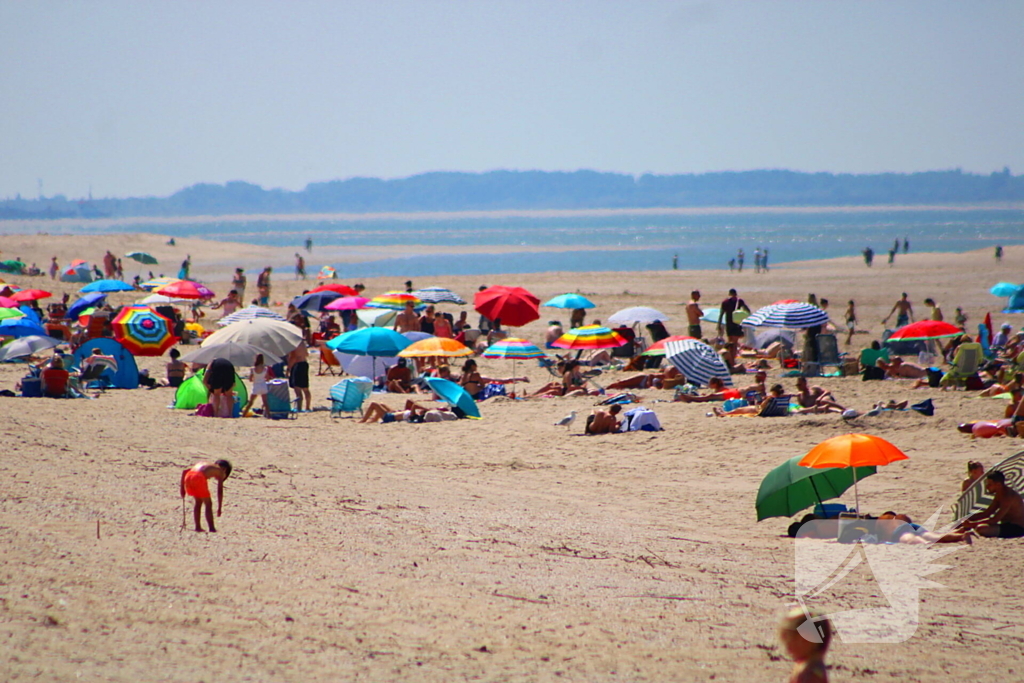 Mens en dier zoeken verkoeling aan het strand