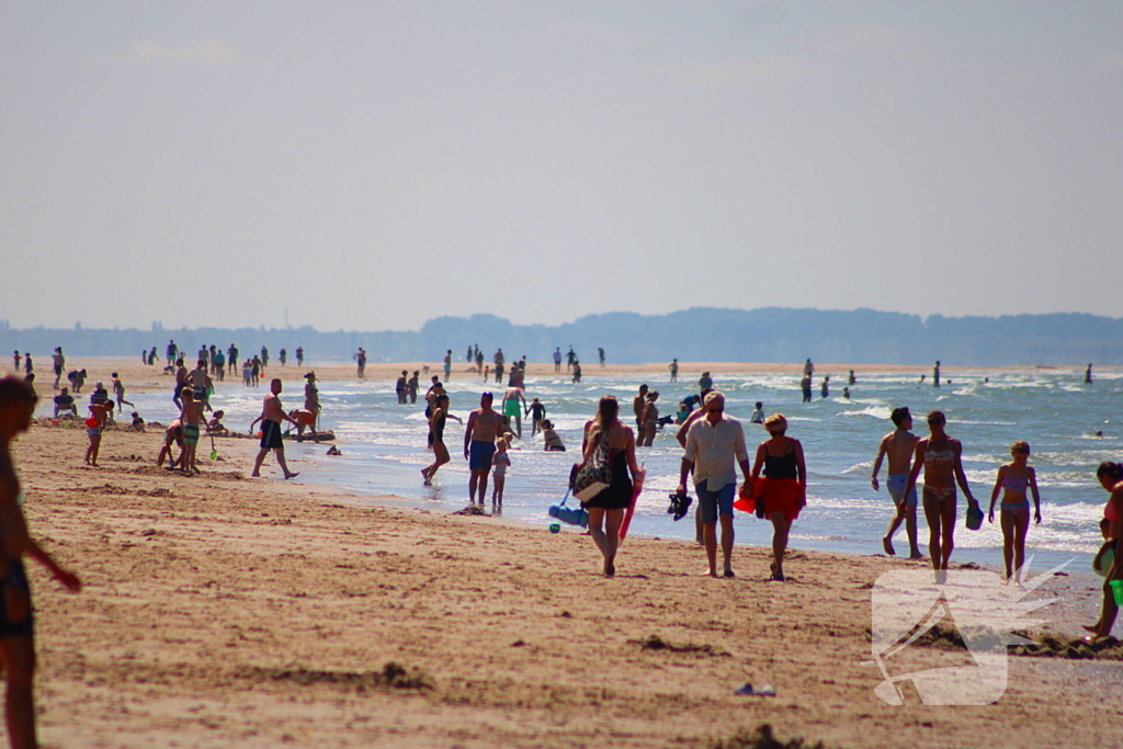 Mens en dier zoeken verkoeling aan het strand
