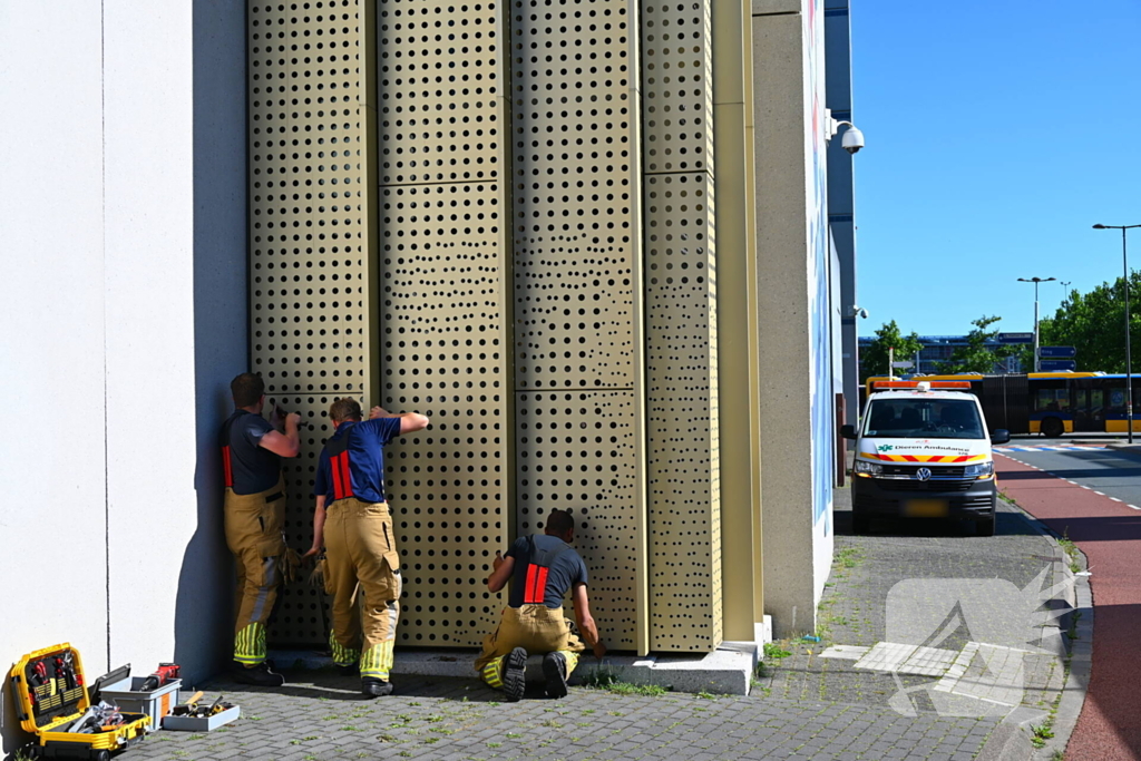Brandweer redt kraai uit benarde positie