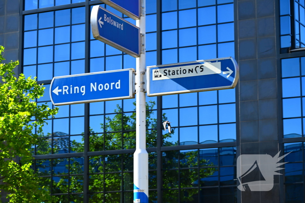 Brandweer redt kraai uit benarde positie