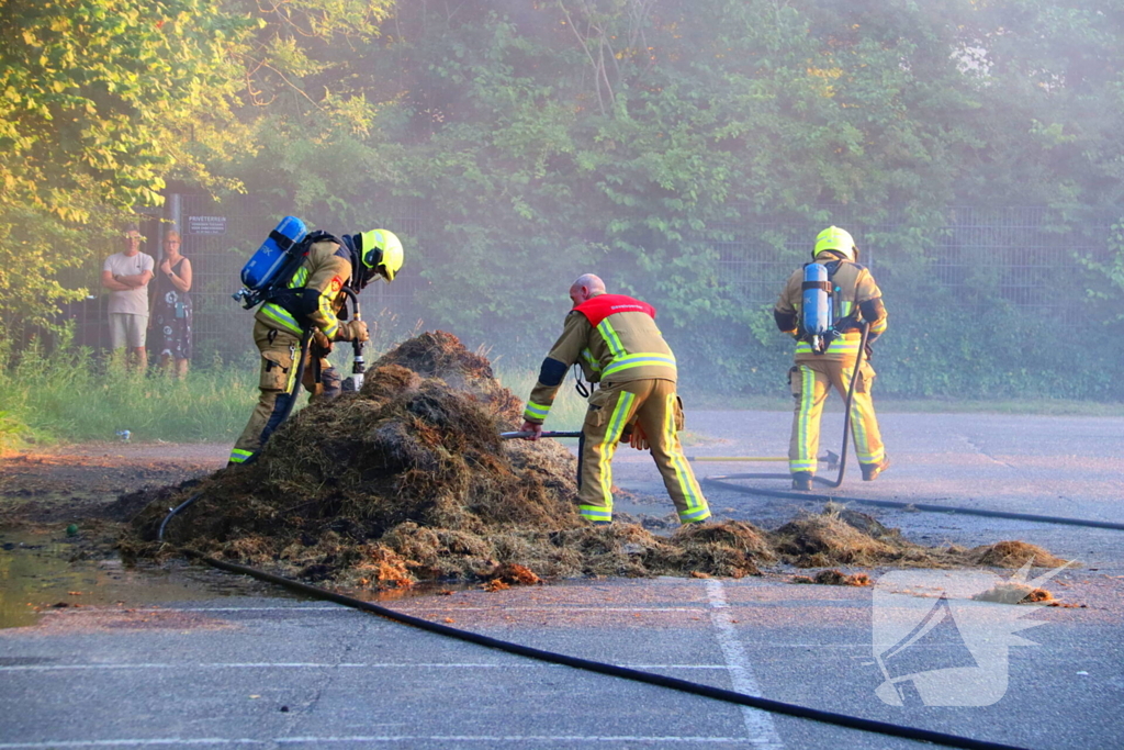 Berg gras in brand