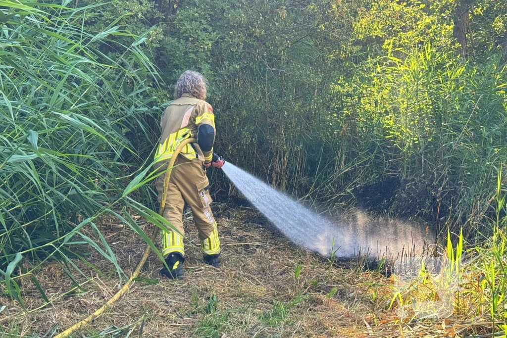 Omstander helpt brandweer met blussen van brand in bosschage
