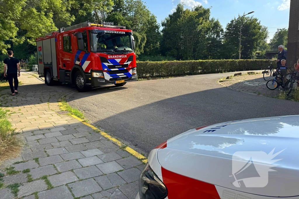 Omstander helpt brandweer met blussen van brand in bosschage