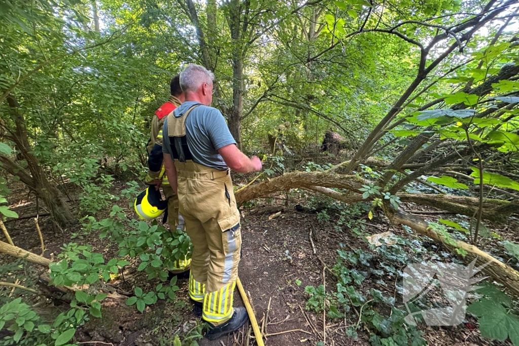 Omstander helpt brandweer met blussen van brand in bosschage