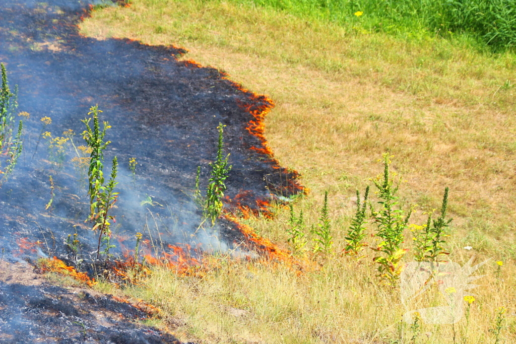 Brand in berm en struikgewas