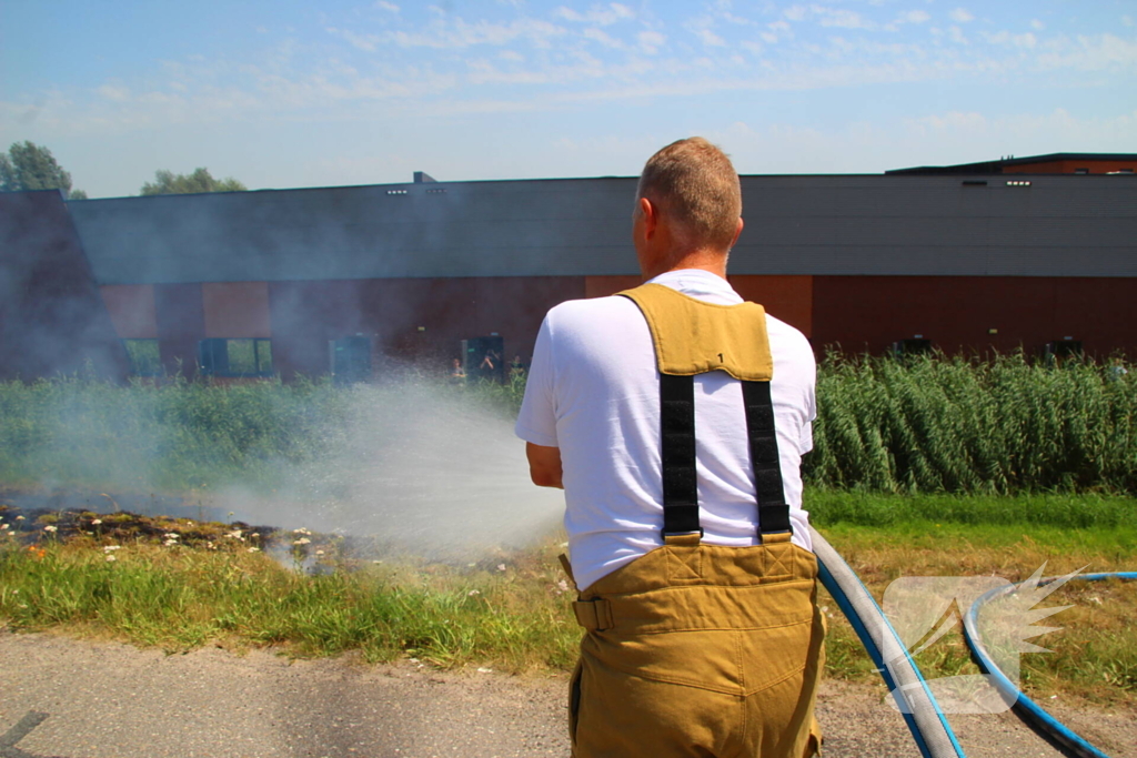 Brand in berm en struikgewas