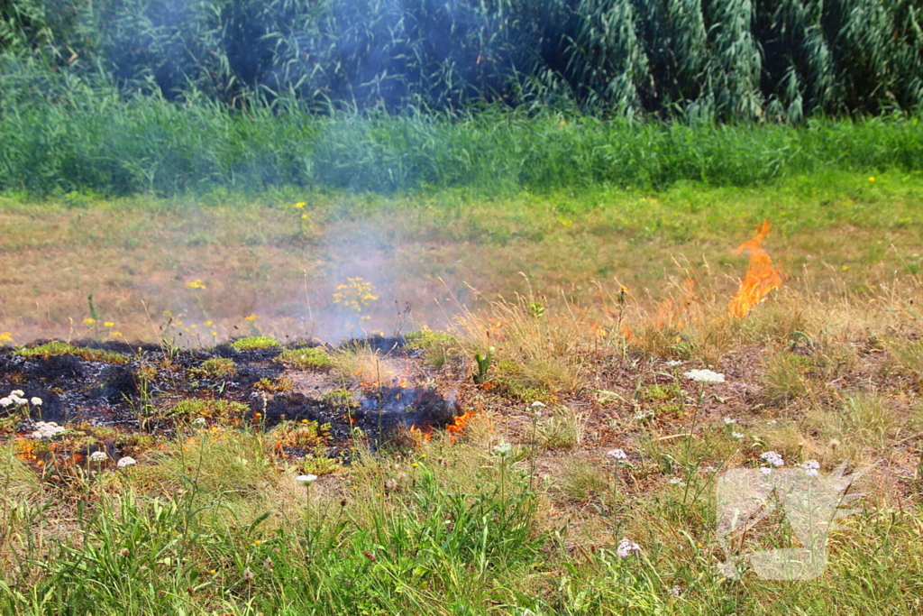 Brand in berm en struikgewas
