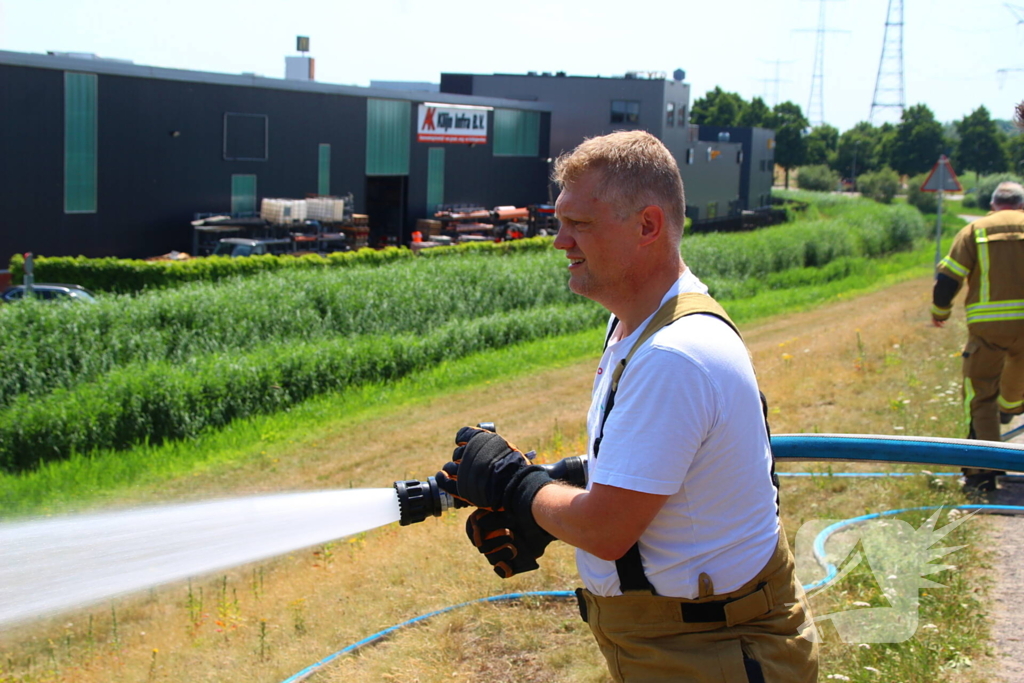 Brand in berm en struikgewas