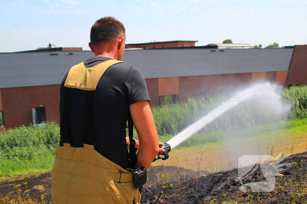 Brand in berm en struikgewas