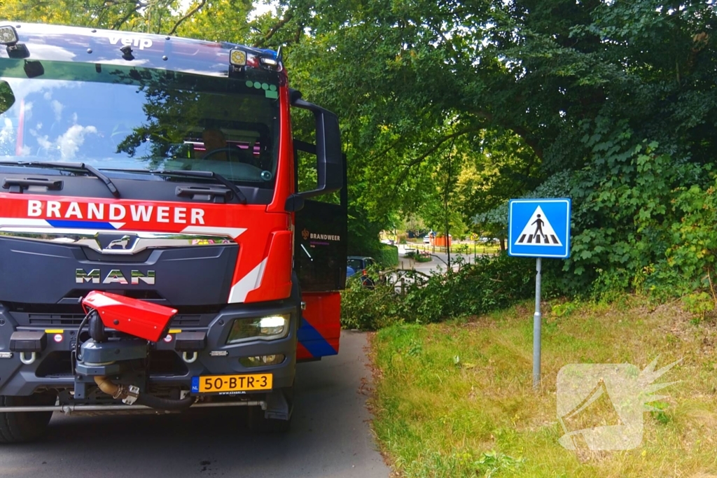 Stormschade zorgt voor gevaar op de weg