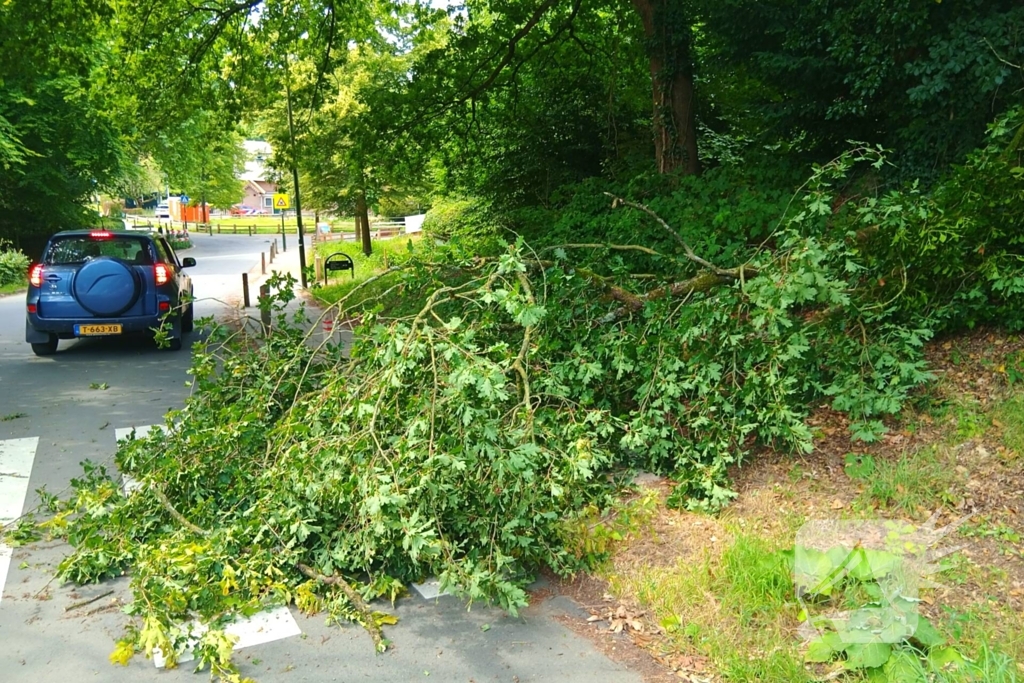 Stormschade zorgt voor gevaar op de weg