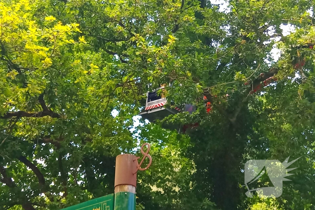 Stormschade zorgt voor gevaar op de weg