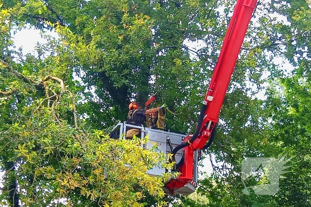Stormschade zorgt voor gevaar op de weg