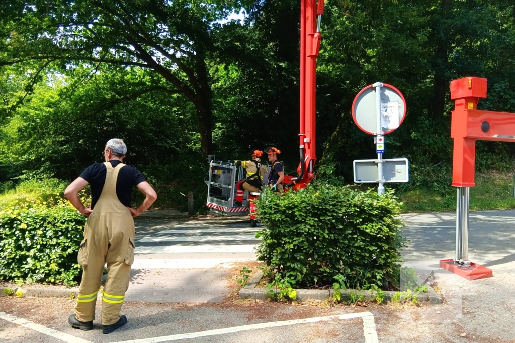 Stormschade zorgt voor gevaar op de weg