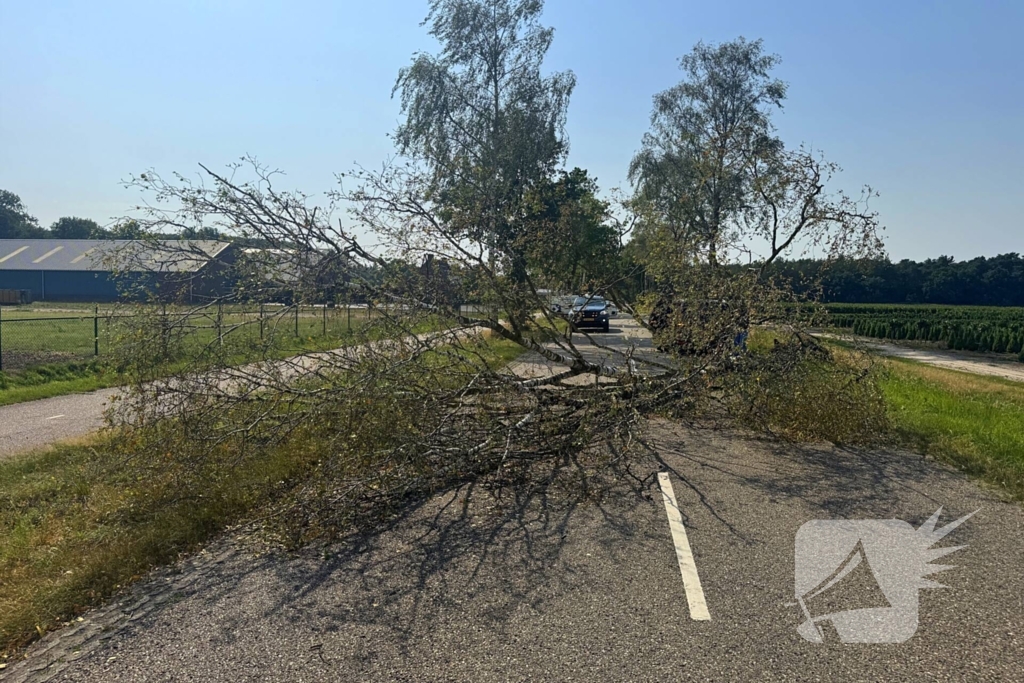 Boom blokkeert weg na storm