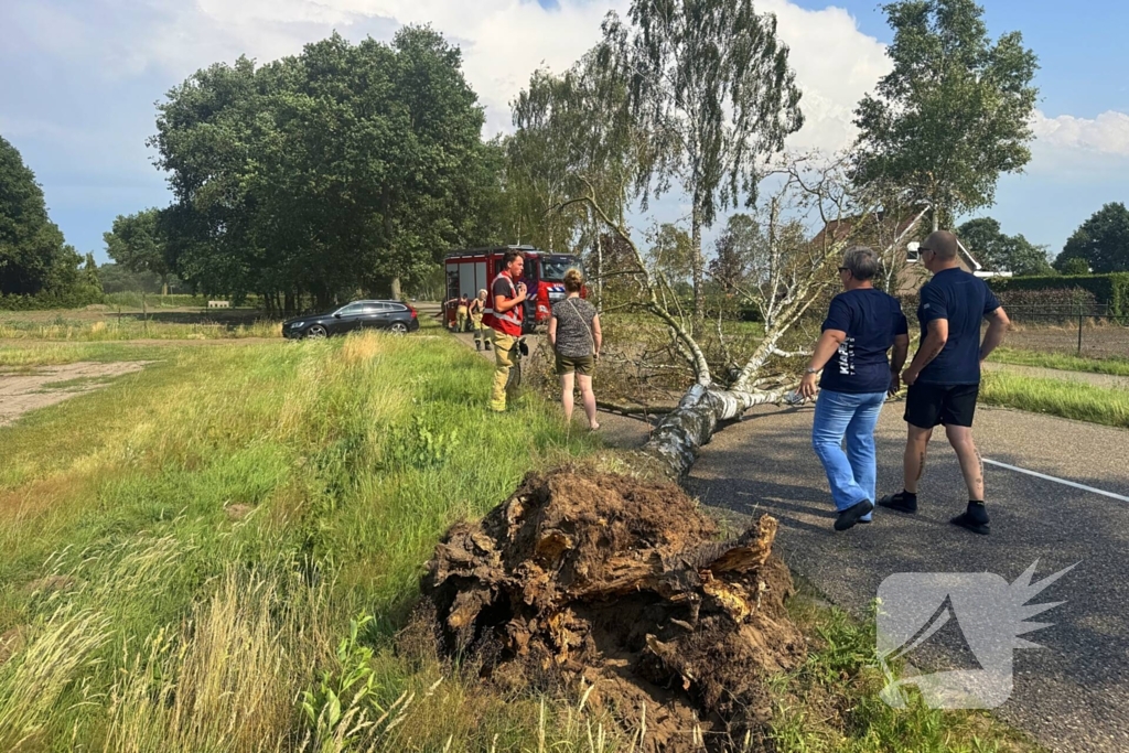 Boom blokkeert weg na storm