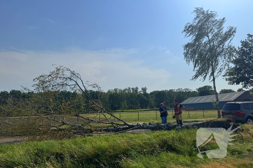 Boom blokkeert weg na storm